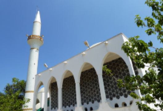 Dipkarpaz Cami景点图片