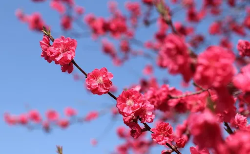 箱島湧水