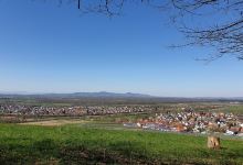 Ebringer Waldspielplatz und Grillplatz Fuchshalde景点图片