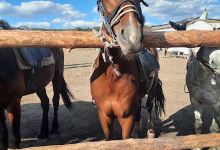 Baza Otdykha "Vasilok"景点图片