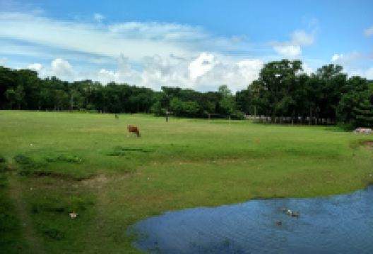 Khankhanapur Boro Maath购物图片