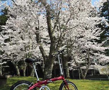 板列公園