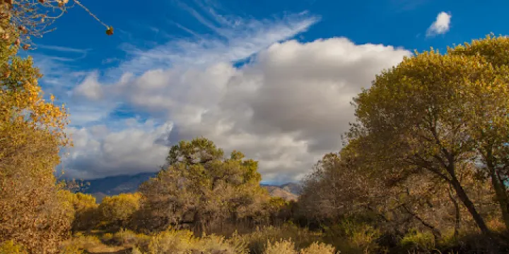 Audubon Kern River Preserve