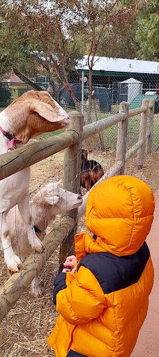 Bunbury Wildlife Park-South Bunbury