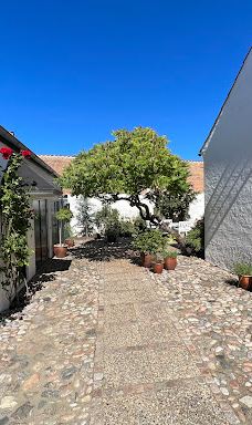 St. Catharinae Church-约灵