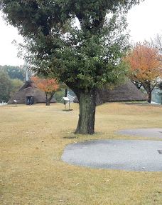 本町田遗迹公园-町田市
