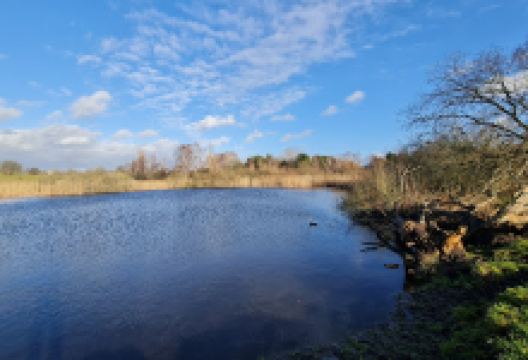 Granit Oasen购物图片