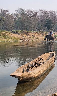 Tikauli Jungle-奇旺
