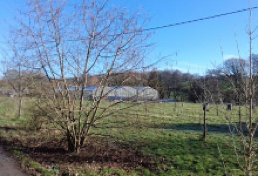 River Mead Nursery购物图片