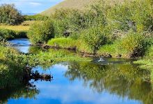 Moose-Goose Nature Trail景点图片