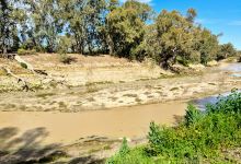 Darling River, Wilcannia景点图片