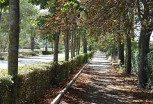 Paseo de la Carrera景点图片