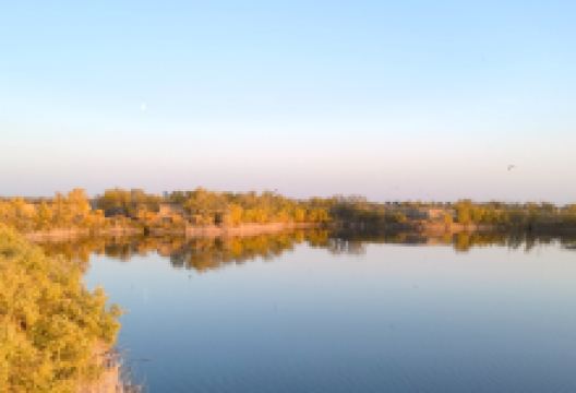 胡杨水韵景区景点图片