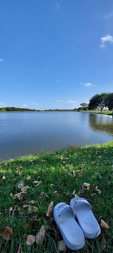 库里提巴诺提科公园-库里提巴