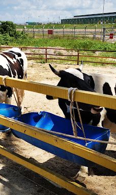 迪沙鲁迷你动物园-Pengerang