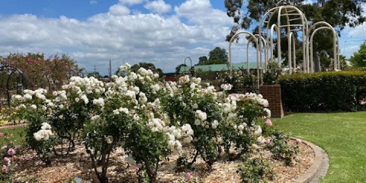 Morwell Centenary Rose Garden