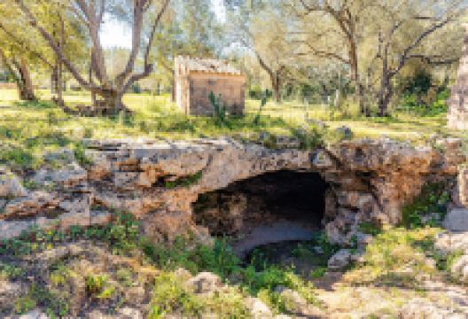 Cova del Camp del Bisbe - Ruta Arqueològica Sencelles Costitx景点图片