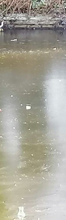 维多利亚公园-贝尔法斯特