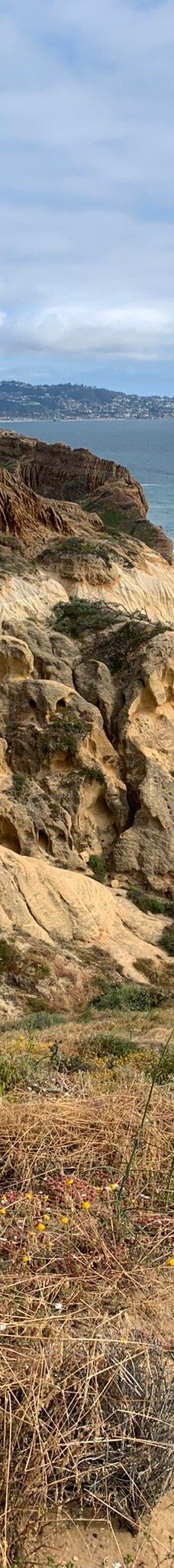 多利松国家自然保护区-佐拉