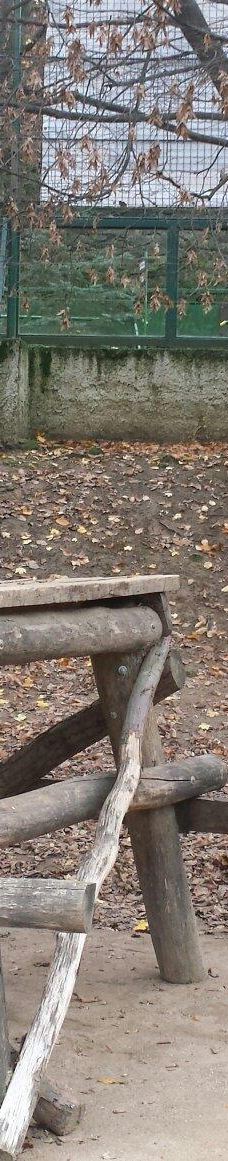 Zoo Kosice-科希策1区