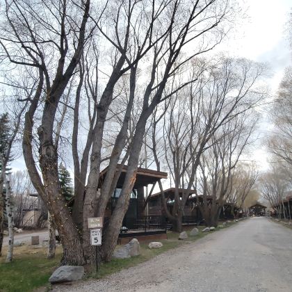 美国洛杉矶+拉斯维加斯+黄石国家公园9日8晚跟团游