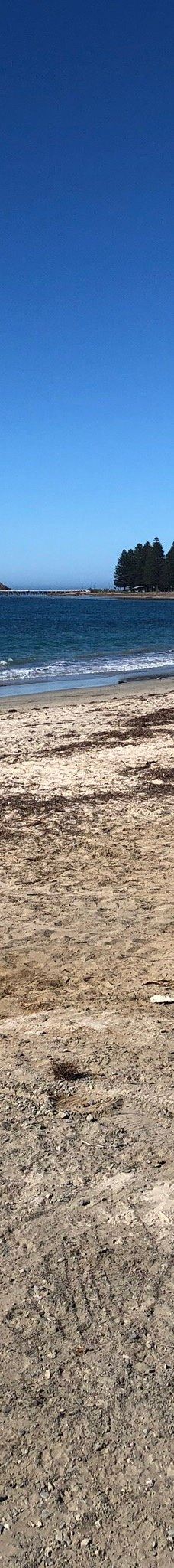 维克多港-维克多港