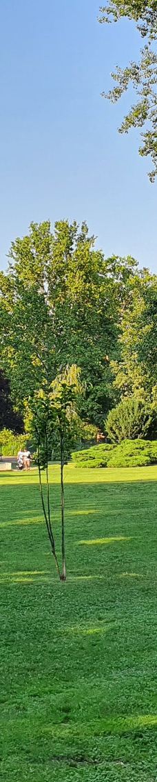 Danube Park-诺维萨德