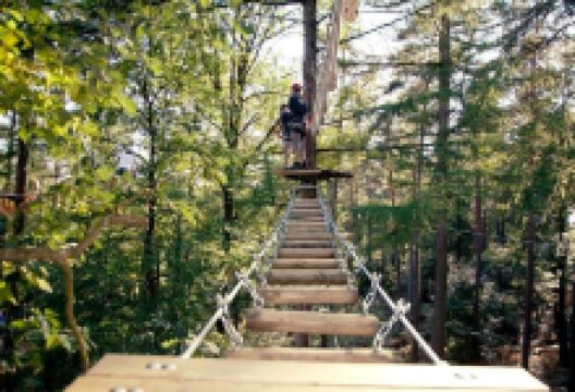 Forestia景点图片