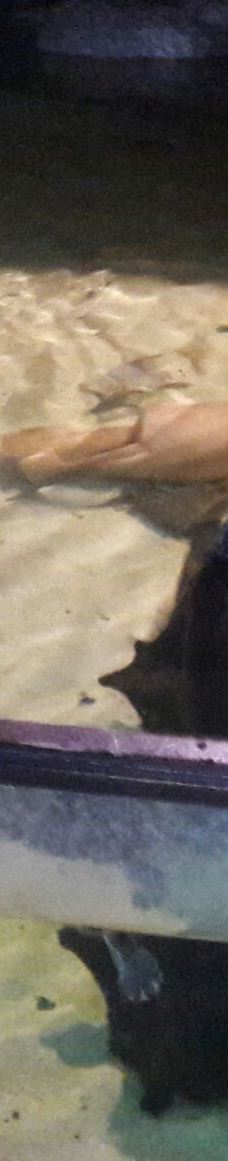 Deniz Dunyasi-安卡拉