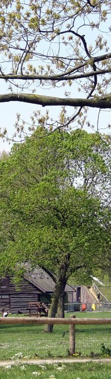 Park De Wezenlanden-兹沃勒