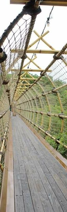 The Maze of the Lost City-太阳城