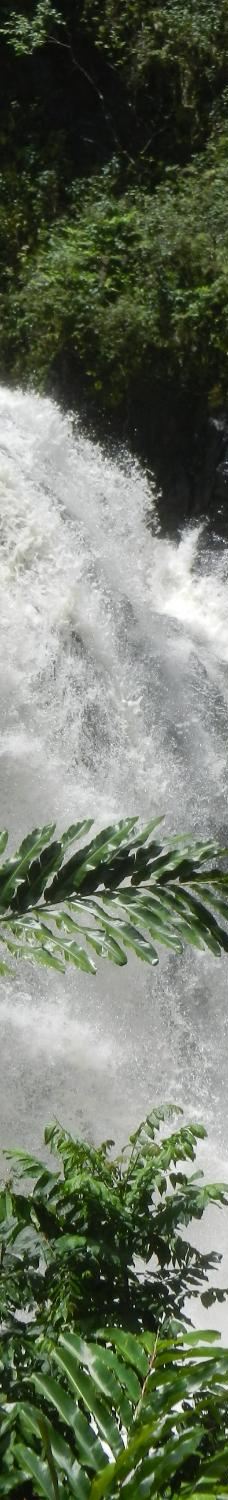 Upper Waikani Falls-茂宜县