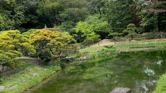 松浜軒