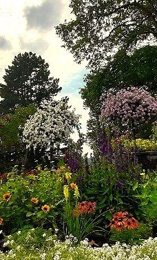 迈瑙岛-康斯坦茨