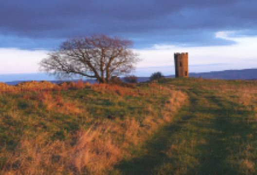 Folly Tower景点图片