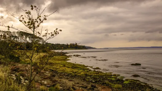 Lunderston Bay
