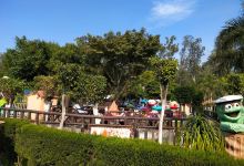 Hardy's World景点图片