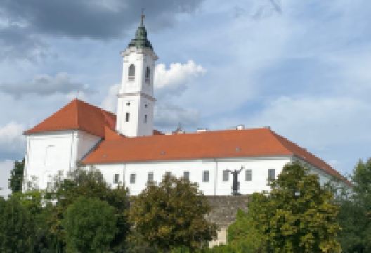 The Franciscan Church and Friary景点图片