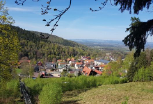 Kolorowa Luge, Karpacz (Tory saneczkowe Kolorowa, Karpacz)景点图片