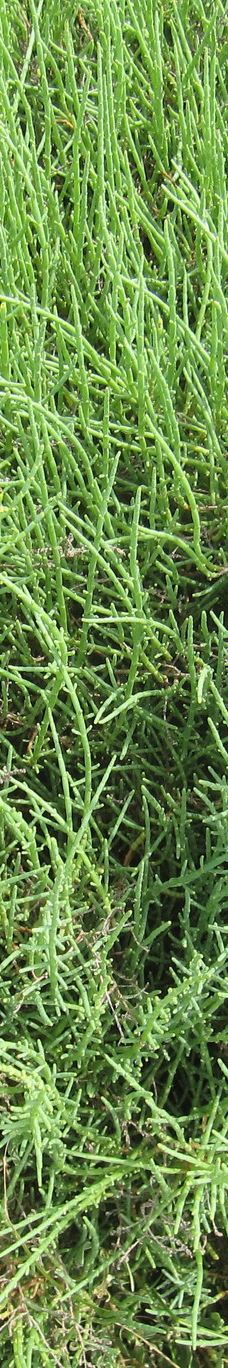 Domaine de la Palissade-阿尔勒