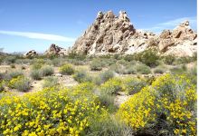 Whitney Pockets景点图片