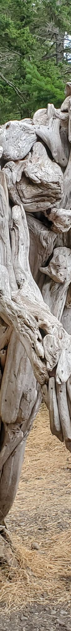 Rebecca Spit Marine Provincial Park-奎德拉岛