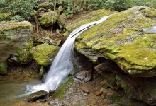 Otter Falls Trail景点图片