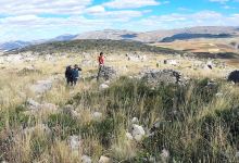 Complejo Arqueologico De Tunanmarca景点图片