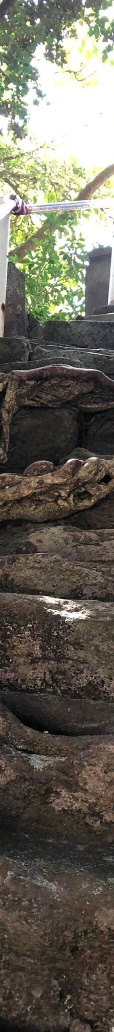 荒平天神(菅原神社)-鹿屋市