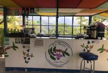 Las Acacias Coffee Farm景点图片