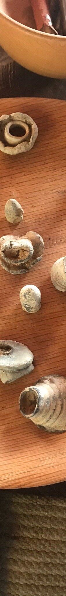 The Museum of Irish Rural Life-克莱尔郡