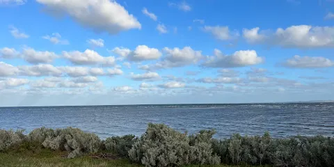 Little River Bird Hide