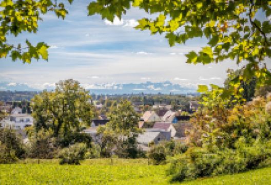 Aulendorf Park景点图片