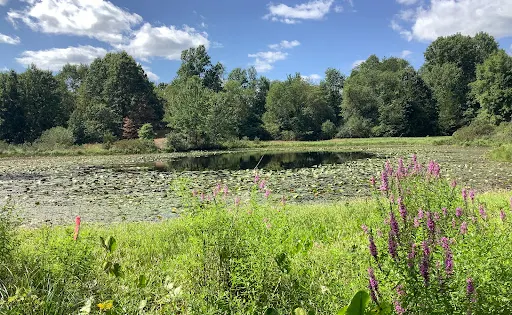 Stewart State Forest